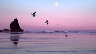 Anthony Island - Goodbye