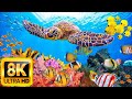 Marine Life Aquarium 8K ULTRA HD - Beautiful Coral Reef Fish - Sleep Relaxing Meditation Music