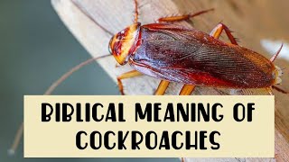 Biblical Meaning of Cockroaches | Spiritual