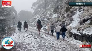 Segunda Nevada En El Cofre De Perote Sorprende A Habitantes Autoridades Piden Precauciones