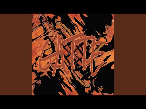 MR.BLACK - Gatte
