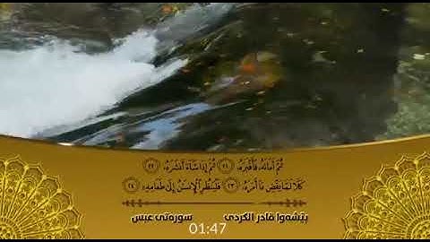 من سورة عبس... القارئ بيشهوا قادر الكردي