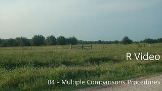 R-04: Multiple Comparisons Procedures