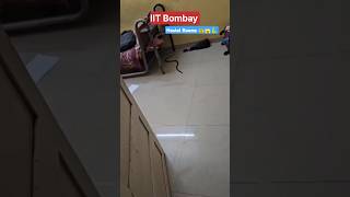 Python sikhna❌ Python Milna✅ ft IIT Bombay #iitbombay #iitjee #snakes #viral #lifeatiit