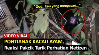VlRAL Pontianak Kacau Ayam, Reaksi Pakcik Tarik Perhatian Netizen