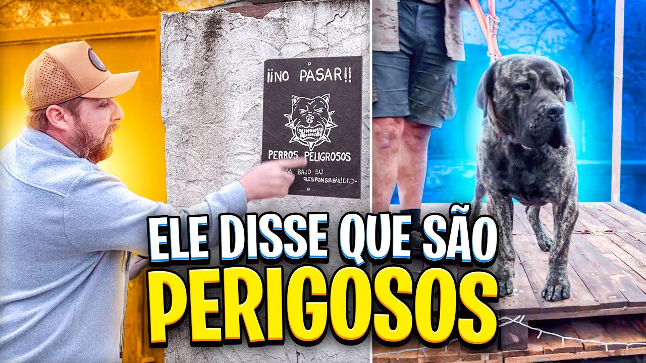 PRESAS EM MATILHA NO KING ZULU - ESSE É DOIDO