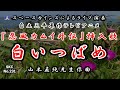 白土三平原作テレビアニメ『忍風カムイ外伝』挿入歌「白いつばめ」ライブ演奏【SKCNo.231/昭和のテレビで流れた音楽をスペースカインズが再現!時代劇アニメ編】