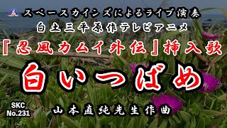 Shiroi Tsubame / Ninpuu Kamui Gaiden