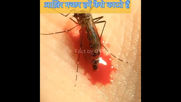आख़िर मच्छर हमें कैसे काटते हैं? || mosquito || #viral #trending #shorts #ytshorts