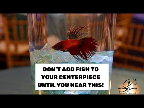 HOW TO SOLVE AN EVENT PLANNING NIGHTMARE LIKE A PRO - FISH IN CENTERPIECE