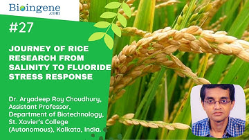 Bioingene.com Webinar on Journey of rice research from salinity to fluoride stress response