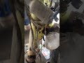 PENYEBAB ECU MATI TOTAL..SIMAK VIDEO NYA