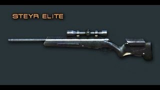 Cross Fire China Steyr Elite Review