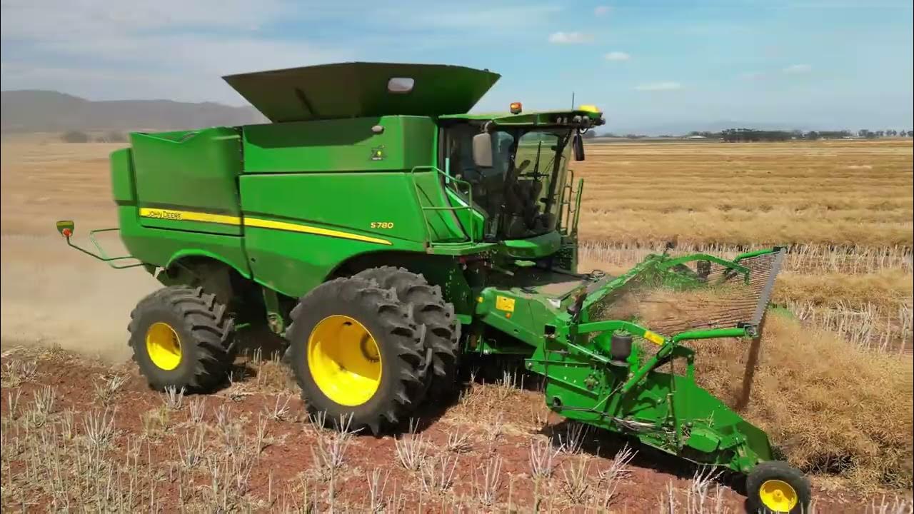 Canola word geoes Saamstaan Boerdery Malmesbury YouTube