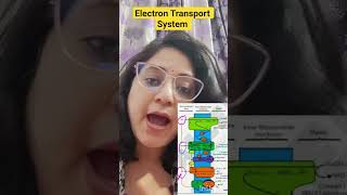 Electron Transport System #story telling #neetbiobridge