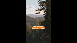 Just Your Average Workday: Tree Feller, Katelyn Johnson
There’s work from home. There’s work in-office. And then there’s this. Discover why arborists like Katelyn rely on STIHL at the link in bio. #MadeForAmerica Just Your Average Workday: Tree Feller, Katelyn Johnson