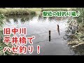 旧中川「平井橋」でハゼ釣り！【駅近の好釣り場♪】【ハゼクラ初挑戦】