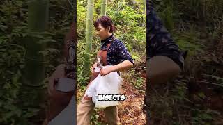 The Clever Farming Trick for Bamboo Shoots🤯 #short #clever #farming #trick #bamboo #shorts #facts