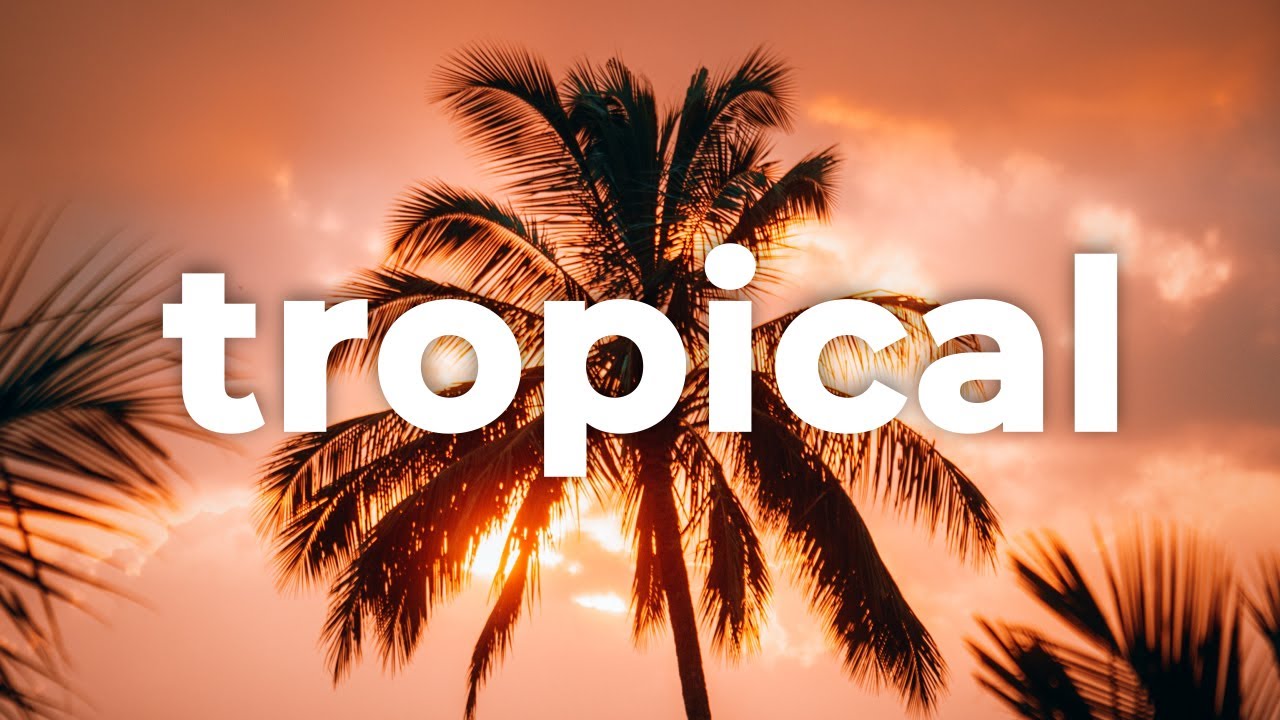 🤲 Tropical Reggaeton Royalty Free Music (For Videos) - Reggaeton Music