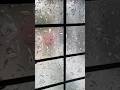 Floral Design Privacy Film #floraldesign #privacyfilm