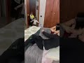 Non CтАЩeтАЩ La Possiamo FareЁЯджтАНтЩВя П Shorts Family Sex Non CтАЩeтАЩ La Possiamo FareЁЯджтАНтЩВя П Shorts Family Sex