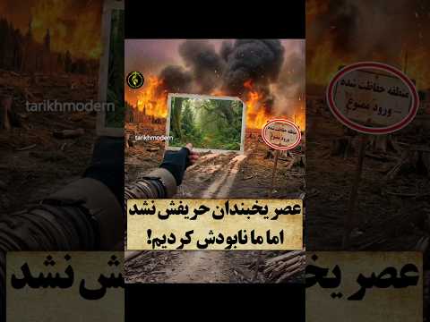 ۲۲ روز از شروع آتش سوزی میگذره و حالا صدها هکتار از جنگل های شمال رو درگیر کرده و داره جلو میره