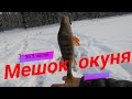 В ТАЙГУ ЗА ОКУНЕМ!!!/ОЗЕРО "КЕДРОВОЕ"!!!/ПО 3 ШТУКИ ЗА РАЗ!!!/МЕШОК ЗА 5 ЧАСОВ!/ПОЛАРИС НЕ ПОДВЁЛ!!!