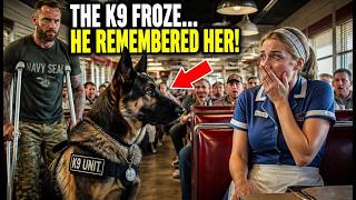 Disabled Navy SEAL Asked a Waitress for a Seat—Then His K9 Recognized the Medic Who Saved Him
