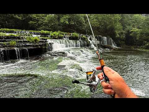 I Never knew this Waterfall was in Tennessee!