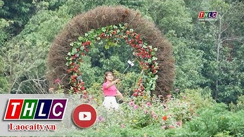 Phát triển các mô hình nông nghiệp gắn với du lịch| THLC