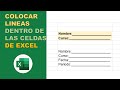 COLOCAR UNA LINEA DENTRO DE UNA CELDA DE EXCEL✅