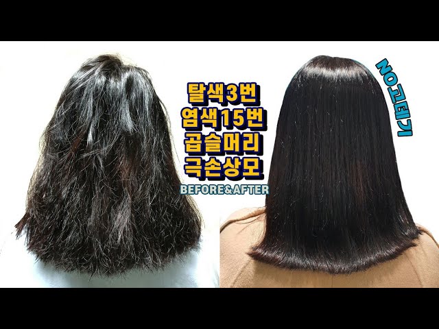 제이스프 단백질 트리트먼트 염색 탈색으로 인한 손상모발 트리트먼트 추천 10