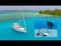 Final Cruise - Sailing San Blas Islands & Epsilon Anchor Test | Distant Shores