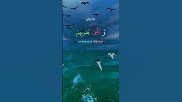 سوره ال عمران♥️ #اكسبلور #duet #nature #viral #viralvideo #video