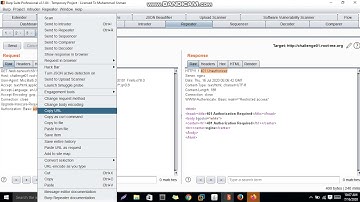 Weak Password  root me Challenge (Web-Server)