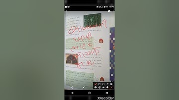 std 4 aasapas unit 25