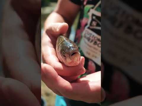 ОЧИСТКА САМОГО ГРЯЗНОГО ОЗЕРА В МИРЕ ДЛЯ РЫБАЛКИ #Shorts