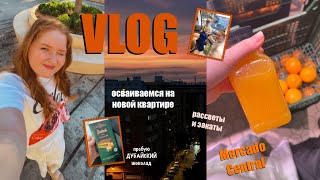 видео: VLOG: осваиваемся в новой квартире | РАССВЕТЫ И ЗАКАТЫ | пробую ДУБАЙСКИЙ шоколад | Mercado Central🍊 картинка: VLOG: осваиваемся в новой квартире | РАССВЕТЫ И ЗАКАТЫ | пробую ДУБАЙСКИЙ шоколад | Mercado Central🍊