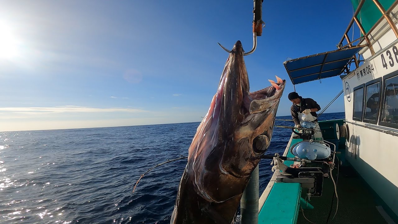 【八丈島】キンメ漁に行ったら〇〇が大量に釣れた。