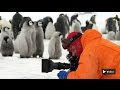 Planet Wissen - Abenteuer Naturfilm