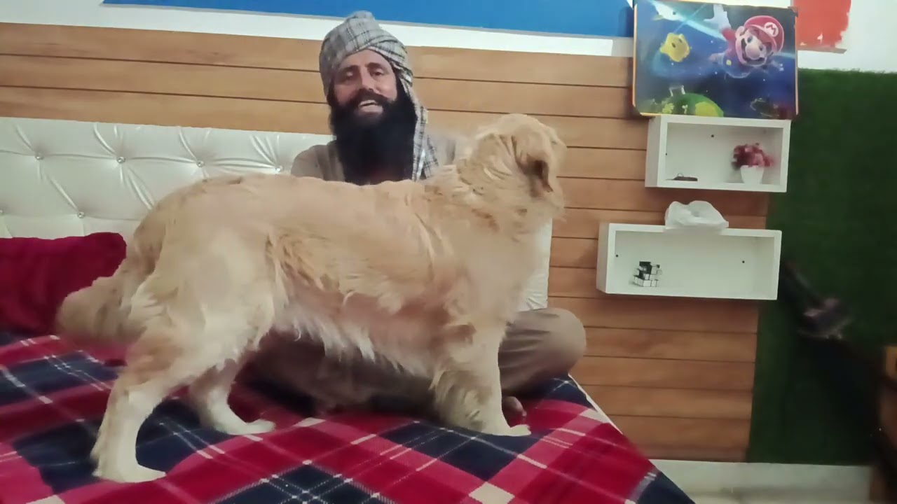 ਦੇਖੋ ਮਿੱਟੀ ਦੇ ਭਾਂਡੇ ਬਣਾ ਕੇ ਵੇਚਣ ਵਾਲੇ ਦੀ ਕਿਸਮਤ ਬਦਲ ਦਿੱਤੀ ਗਧੇ ਨੇ ਬਣਾਤਾ ਸੈਨਾ ਪਤੀ 