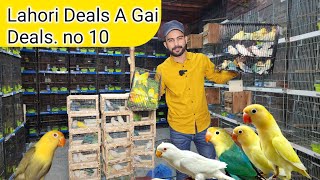 Lahori Deals A gai ( Deals 10 ) #lahorientertainmentchannel