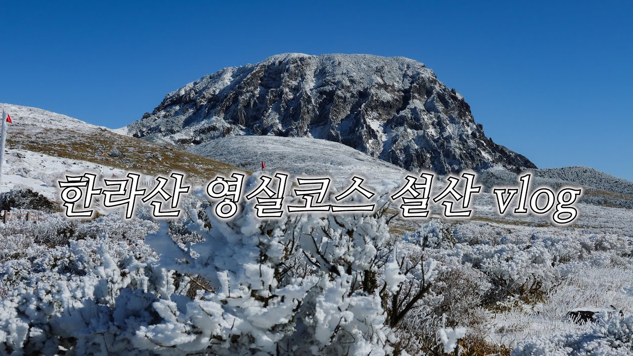 [한라산 브이로그] 🏔️올해 한라산 설산 등반!! 영실 코스 | 등반 소요시간 | 주차 장소 | 영실 탐방로 | 윗세오름