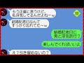 【LINE】引き留めてもらえると思い込み“意気揚々”と結婚記念日に浮気旅行に行くと暴露する汚嫁!➡理解あるふりして淡々とやるべきことを進めた結果…w