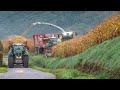 Maishäckseln im Eifel mit J-Reiff.lu | Fendt 936 S5 | Corn harvest in the Ardennes hills | 2020