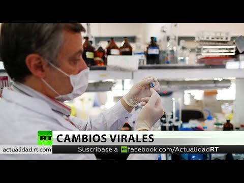 Argentina propone tests simples para detectar el coronavirus