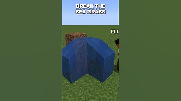 How ONE BUCKET can make INFINITE WATER | Minecraft #Shorts