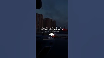 آية واحدة قد تغيّر يومك 💛تلاوة خاشعة تملأ القلب سكينة.#قرآن #تلاوة_قصيرة #آيات_من_النور