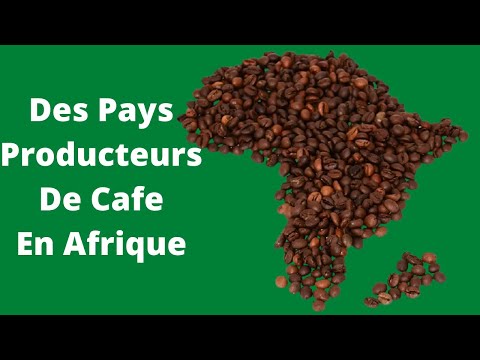 Vidéo: Quel est le plus grand État producteur de café de l'Inde ?