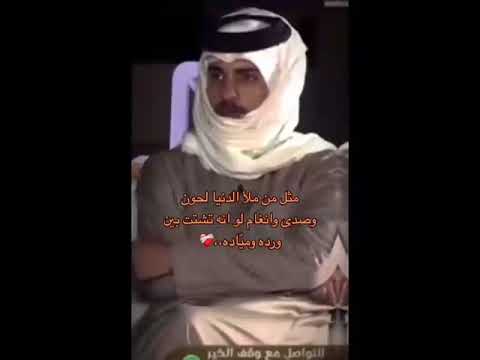 مثل من ملأ الدنيا لحون وصدى وأنغام بهاج الاكلبي سكربت قناه الواقع بيشه 